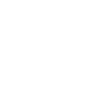 Aarhus-kommune_400px_ViewNet_LOGO-2