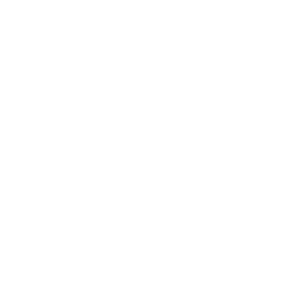 Autohuset-Glostrup_400px_ViewNet_LOGO-2