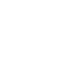Business-College-Syd_400px_ViewNet_LOGO