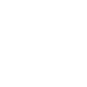 DOMS_400px_ViewNet_LOGO-3