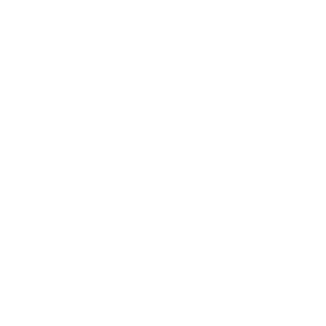Danfoss-Logo-white