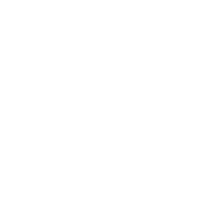 Deutche-minderheit_400px_ViewNet_LOGO