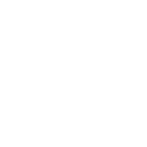 EDC_400px_ViewNet_LOGO