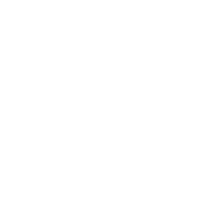 Engelbrecht-biler_400px_ViewNet_LOGO