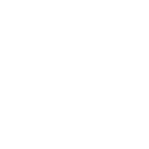 Folketinget-logo-white