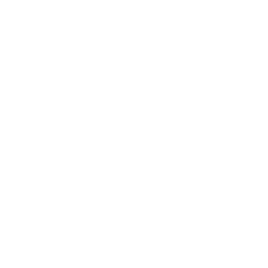 HUTH_400px_ViewNet_LOGO-3
