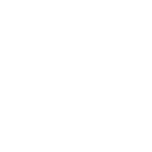 Holb├ak-kommune_400px_ViewNet_LOGO