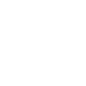 H├yJ-Ha╠endbold_400px_ViewNet_LOGO