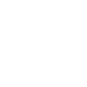 JOBO-Bilcenter_400px_ViewNet_LOGO