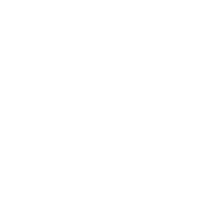 Middelfart-kommune_400px_ViewNet_LOGO-2