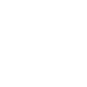 NORFORS_400px_ViewNet_LOGO-2