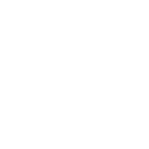 Nyborg-kommune_400px_ViewNet_LOGO-2