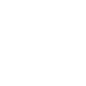 Ringsted-Kongres-Center_400px_ViewNet_LOGO