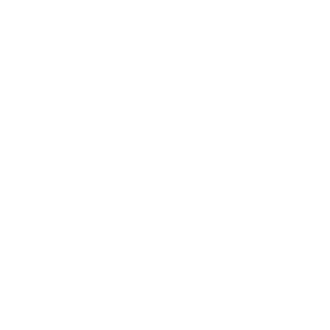 Sephora_400px_ViewNet_LOGO-2