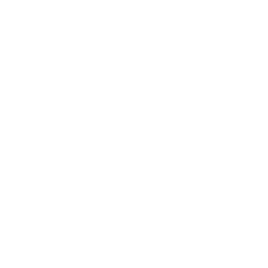 Soenderborg-kommune_400px_ViewNet_LOGO-2