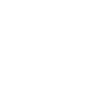 Super-Brugsen_400px_ViewNet_LOGO-2