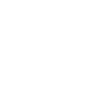 Sydbank-Logo-white