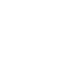 S├©nderjyske_400px_ViewNet_LOGO