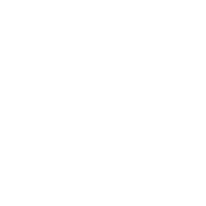 TV2-Logo-white