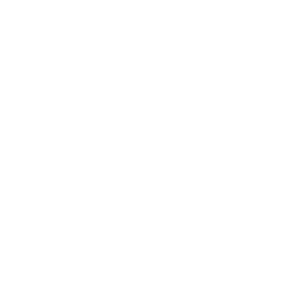 Toender-kommune-Logo-white