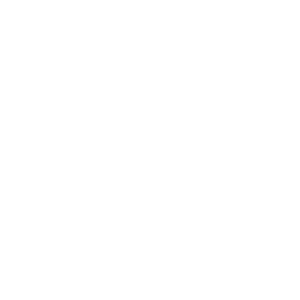 VELUX_400pxLOGO-3