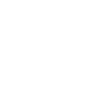 alsion_400px_ViewNet_LOGO-3