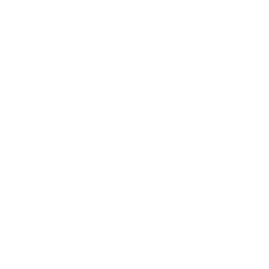 bytorvHORSENS_400px_ViewNet_LOGO-3