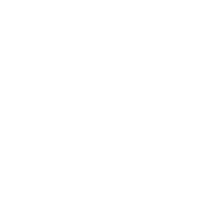 fjord-og-baelt_400px_ViewNet_LOGO-2