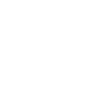 kystcentret-thyboroen_400px_ViewNet_LOGO-3
