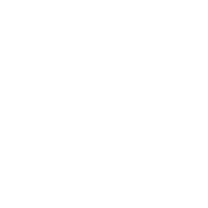 loop_400px_ViewNet_LOGO-2