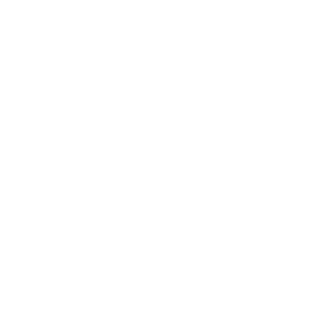 q8_400px_ViewNet_LOGO-3