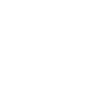 stark_400px_ViewNet_LOGO-2
