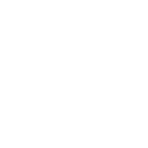 ├aar├©f├argerne_400px_ViewNet_LOGO